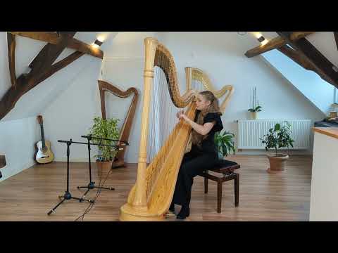 B. Smetana - Vltava (Moldau). Alisa Sadikova - Harp