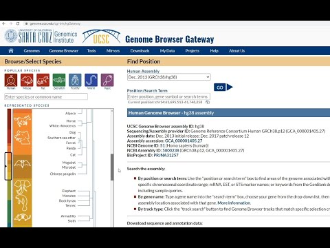 Navigating the UCSC Genome Browser
