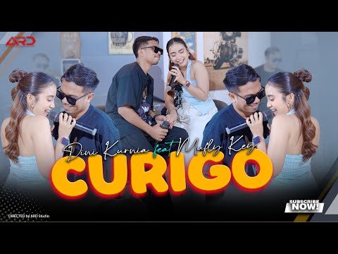 Dini Kurnia Ft. Mufly Key - Curigo (Official Music Live) Lagu Osing Banyuwangi Terbaru 2025