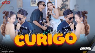 Download lagu Dini Kurnia Ft. Mufly Key - Curigo ( Music Live) Lagu Osing Banyuwangi Terbaru 2025 mp3 Download lagu Dini Kurnia Ft. Mufly Key - Curigo ( Music Live) Lagu Osing Banyuwangi Terbaru 2025 mp3