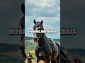 The Aristocratic Influence On European Horse Breeding