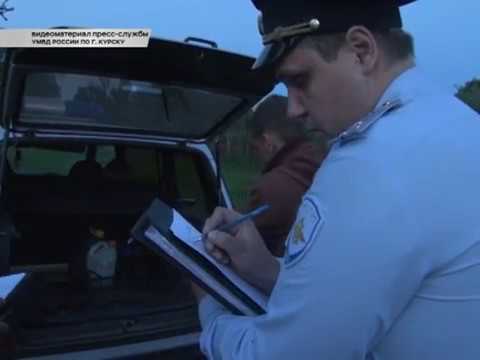 В Курской области правоохранители провели масштабный рейд