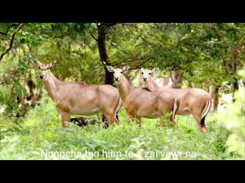 Siahthing par vulna - Chaltlang Br. Y.M.A Zaipawl (Official Audio)