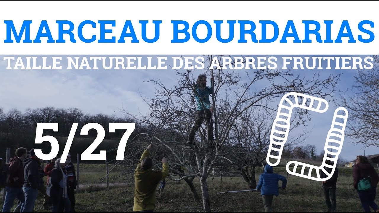 5/27 - M.BOURDARIAS - Taille Naturelle des Arbres Fruitiers - Compartimentation 2 2