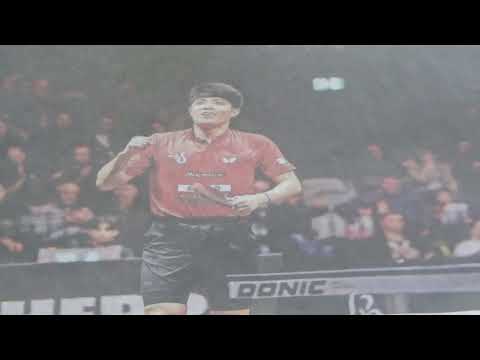Dang Qiu Der neue Timo Boll 202303 NDM Nuernberg Kia Pressetext Reinhard Steinbrecher stoniTV