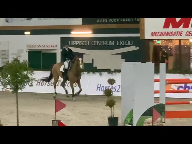 Mother I'm Special Power SIH jumping a 1.40m class with rider Nicole Eggens.