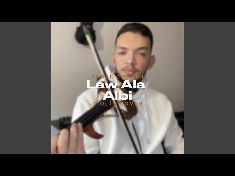 Law ala albi
