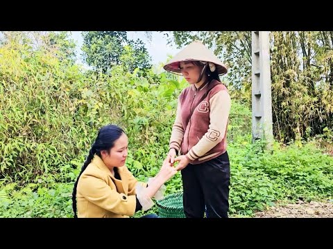 Suddenly, NAM's girlfriend begged MOC for help, leaving MOC perplexed