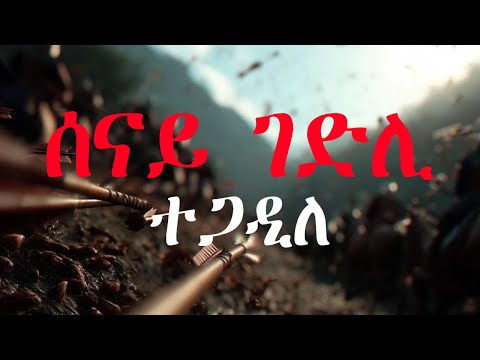 ሰናይ ገድሊ Tigrinya Cover Mezmur - Original by Yohhannes Misghna