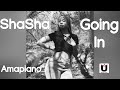 Going In (Official Audio) | ShaSha, Kabza de Small, Dj Maphorisa