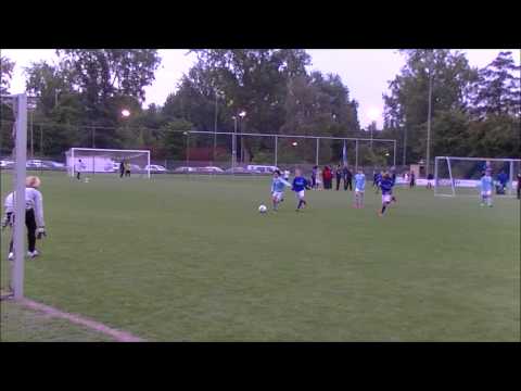 Hermes DVS E1 - CWO E1