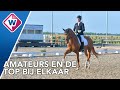 Alles draait om paarden tijdens de Hippische dagen in Delft - OMROEP WEST
