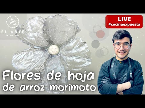 Flores de papel de arroz morimoto - cocina expuesta