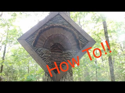 How To Make Turkey Feather Mount