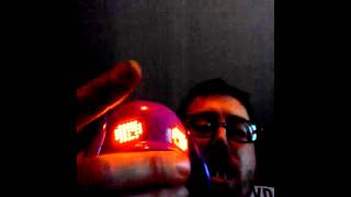 Excited southerner adopts a new guard dog