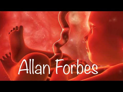 8 Horas - Som do útero - Acalma bebês ventre som #1