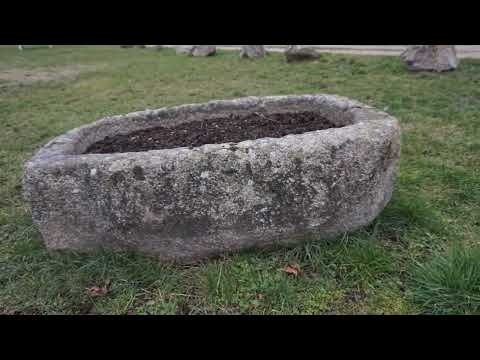 BAS EN BASSET  les Etangs-  Saint Julien 2023