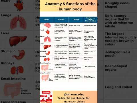 Human Body Organs & Their Functions | Anatomy Made Easy | Science for Kids & Beginners