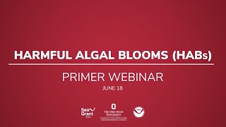 A Primer on Harmful Algal Blooms | Freshwater Science Webinar Teaser