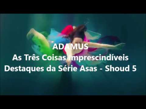 ADAMUS - AS TRÊS COISAS IMPRESCINDÍVEIS