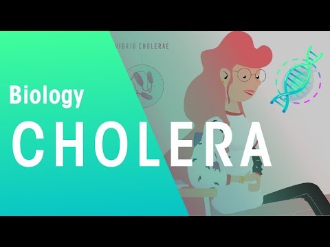 Cholera | Health | Biology | FuseSchool