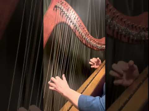 Promotional video thumbnail 1 for Atlanta Harpist Paula Fagerberg
