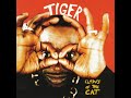 TIGER Windscreen