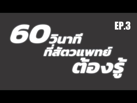 วิธีการและสิ่งที่สามารถจะตื่นเต้นผู้หญิง ความอ่อนแอใน 32