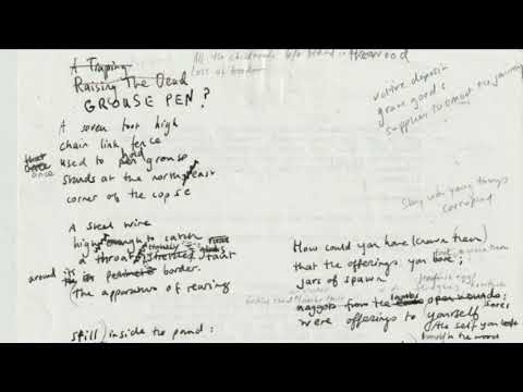 PJ Harvey – “Grouse Pen”