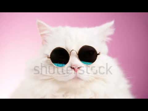 Yes to pahala jam h.........