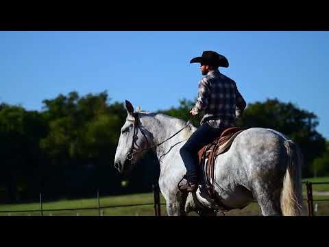 youtube preview