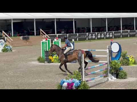 Bob video 4