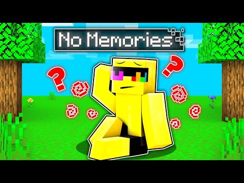 Sunny Lost His MEMORY In Minecraft