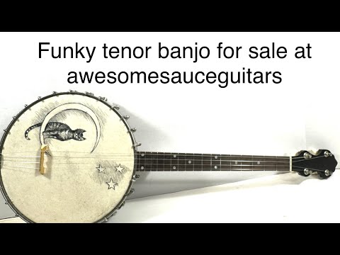 Vega vintage tenor cello banjo 4 strings with painted head New York made Style N “the Tabby” 1924 - Wood and half skin image 19