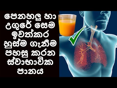 පෙනහලු හා උගුරේ සෙම ඉවත්කර හුස්මගැනීම පහසුකරන ස්වාභාවික පානය​ Remedy to Detox lungs - Sonduru Diviya