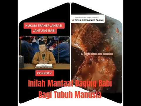 , title : 'Inilah Manfaat Daging Babi Bagi Tubuh Manusia'