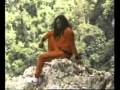 Eddy Grant - War Party.flv