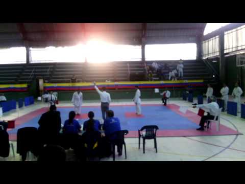 Panamericano JKS 2014