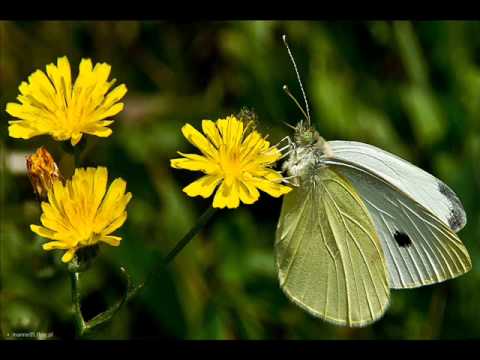 Tylko bądź przy mnie - Iwaa & patrus2s22