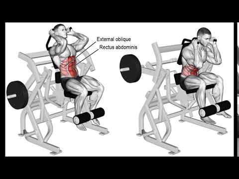 Lever Seated Leg Raise Crunch myworkouts.io