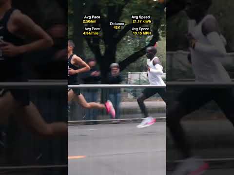 1:59:40 Marathon | Eliud Kipchoge INEOS