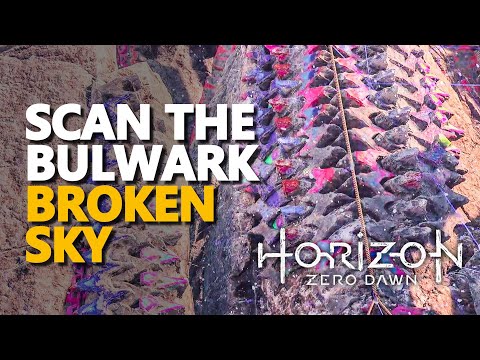 video - The Bulwark