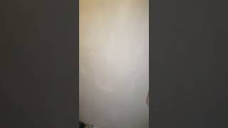 Shane Trigger Training Day