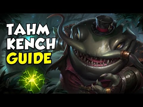 Tahm Kench Support Guide and Build - Climb to Platinum ep.4 - League of Legends