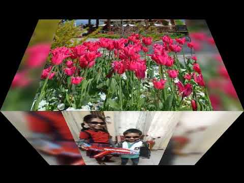 happy birthday my dear abiral