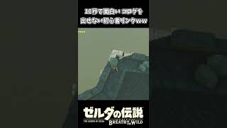 コログを出せない初心者リンクｗｗ【ゼルダの伝説 ブレス オブ ザ ワイルド】