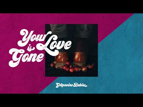 Grapevine Babies – Your Love is Gone