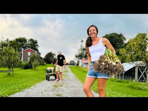 Homestead Backpage