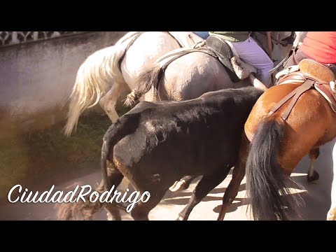 Campero a Caballo Ciudad Rodrigo Carnaval 2020