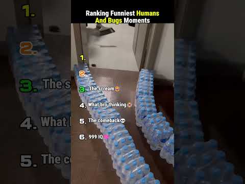 Ranking Funniest Human And Bugs Moments 🪳🙅‍♂️